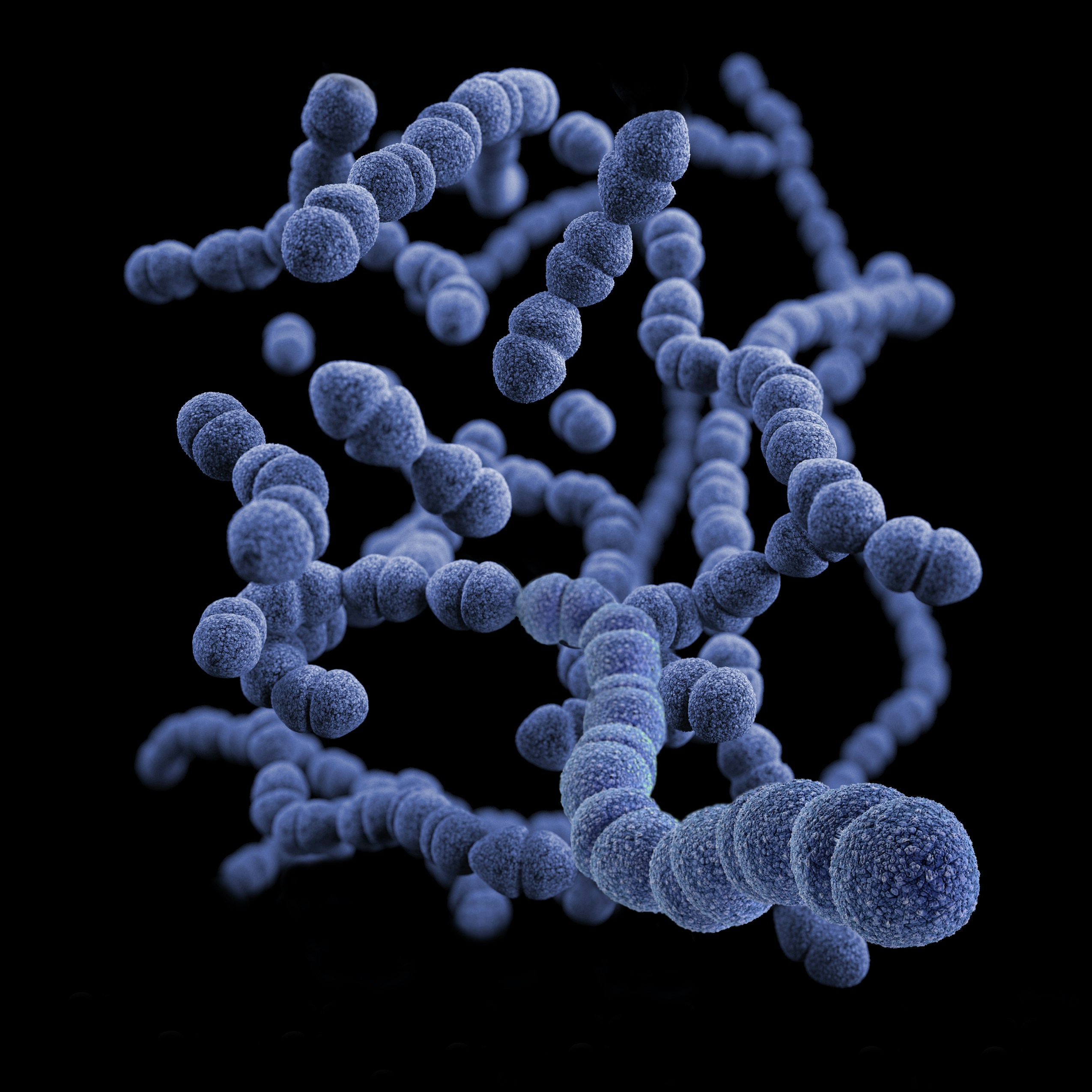 Nuovo test in biologia molecolare per la ricerca dello Streptococco A su tampone faringeo